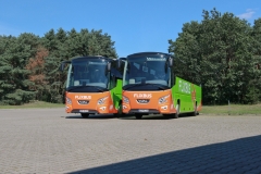 Beta, Bus, Beta-Bus, FlixBus, Flix, autobus, autobusy