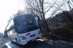 Beta, Bus, Beta-Bus, autobus, autobusy